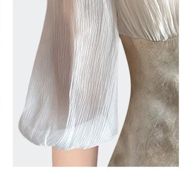 Elegant Lantern Sleeve Slim-fit Top