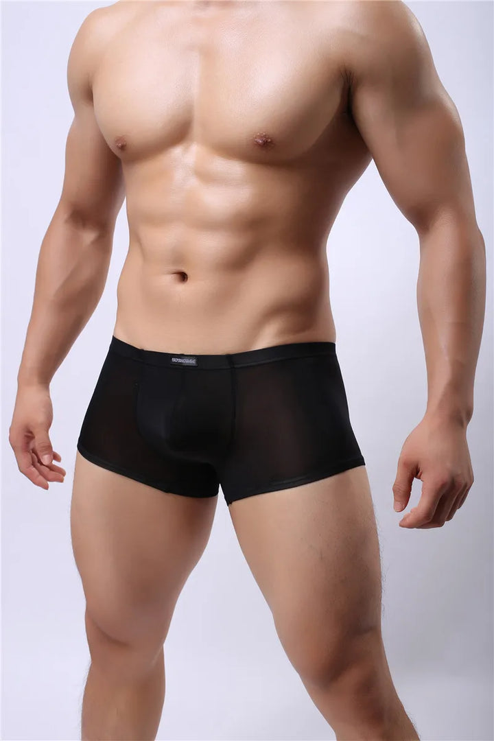 Mesh U Pouch Boxer Shorts