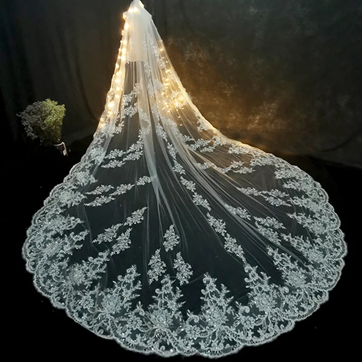 Elegant Appliqued Cathedral Length Bridal Veil