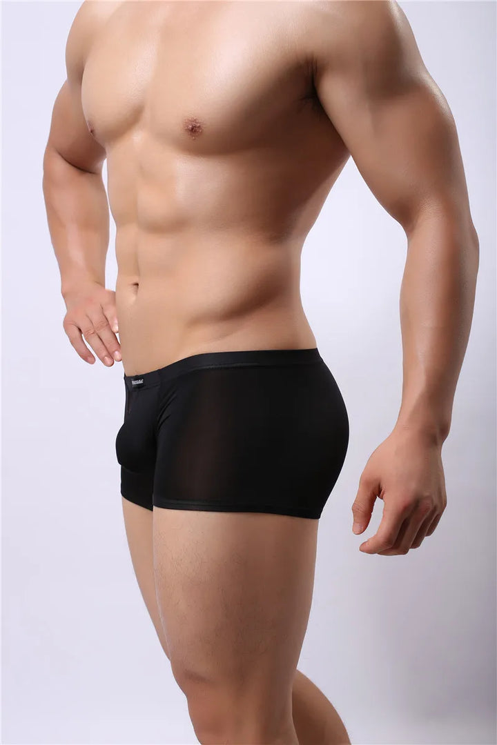 Mesh U Pouch Boxer Shorts