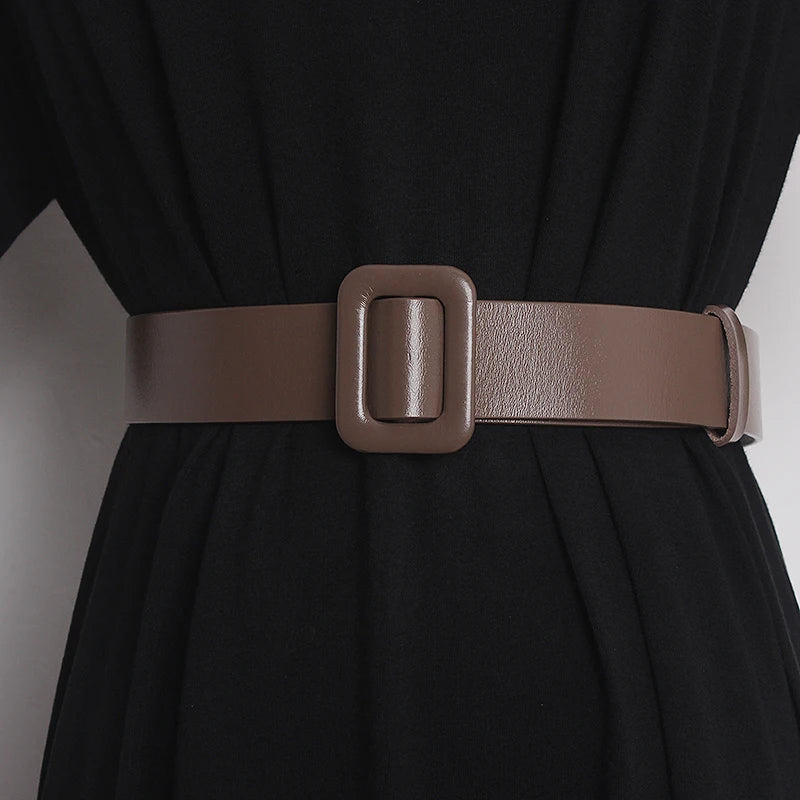 Narrow leather belt on dress waist, brown with rectangular buckle