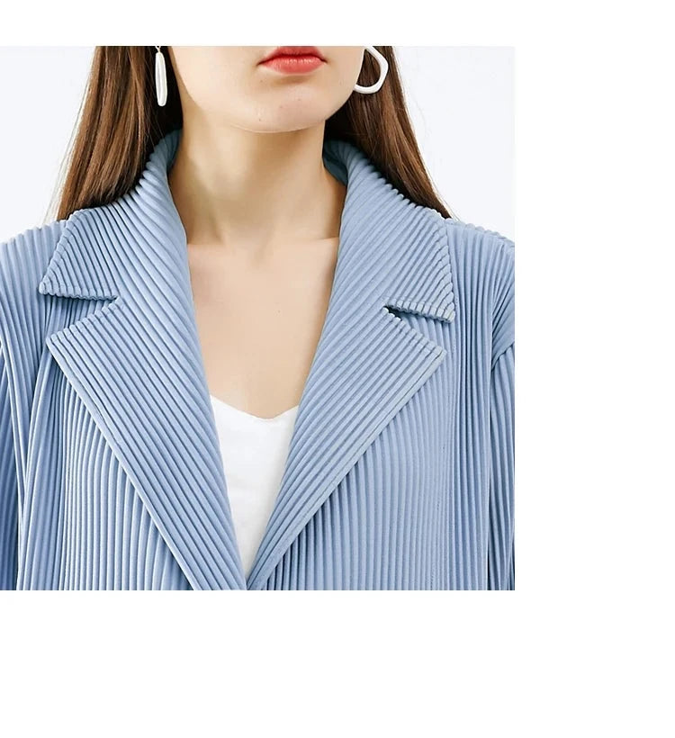 Elegant Pleated Women's Pants Suit