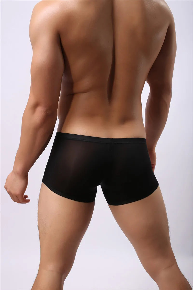 Mesh U Pouch Boxer Shorts