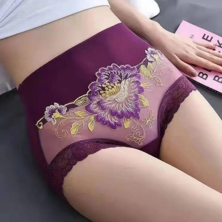 Comfortable Mesh Embroidered Underwear