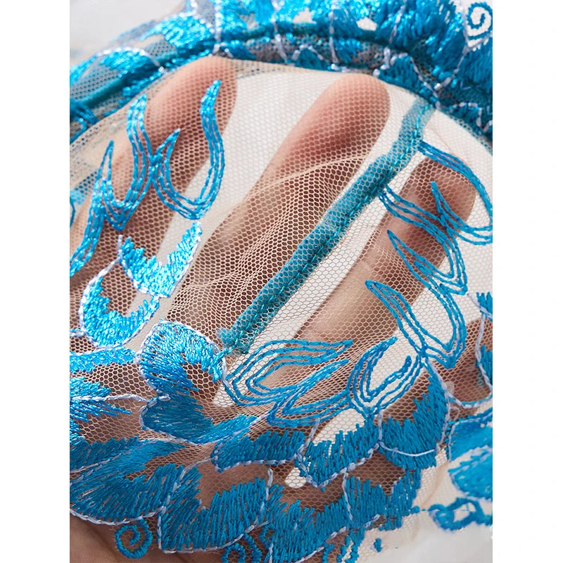 Delicate Mesh Embroidery Lingerie