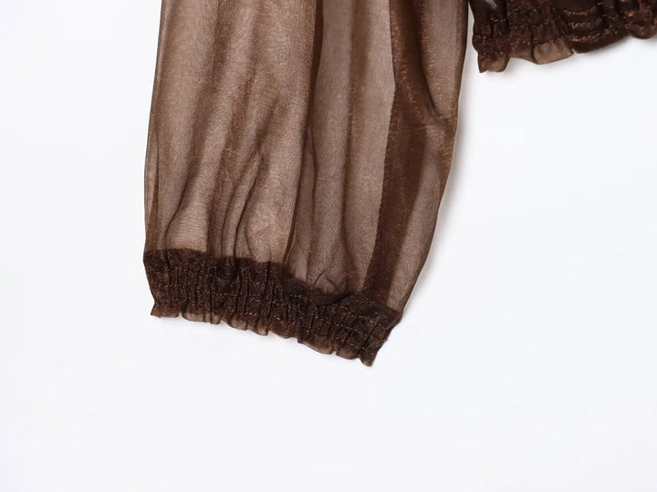Casual Semi-Sheer Organza Jacket