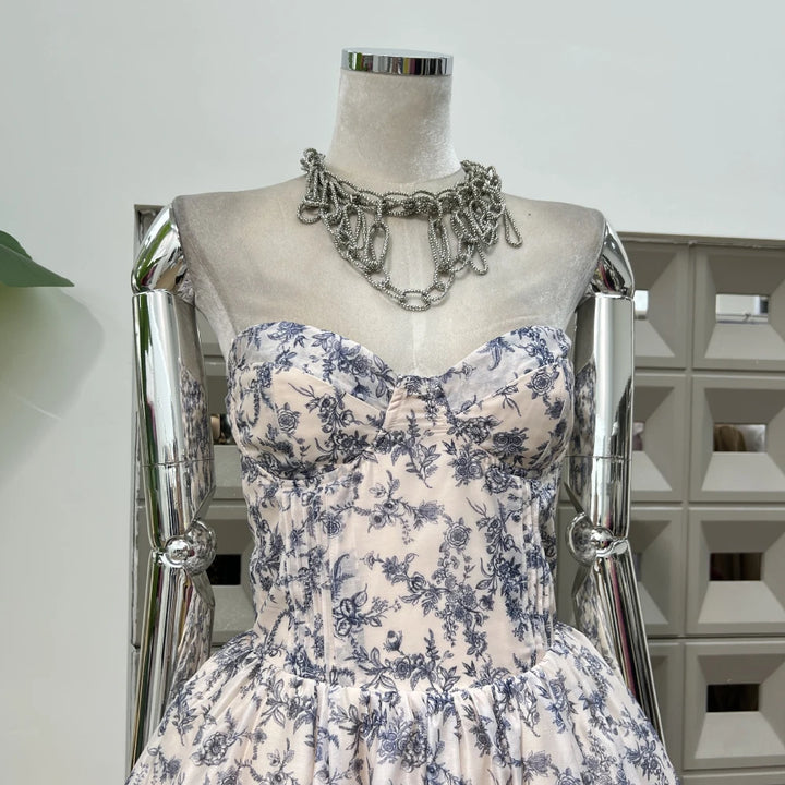 Graceful A-Line Mesh Evening Dress