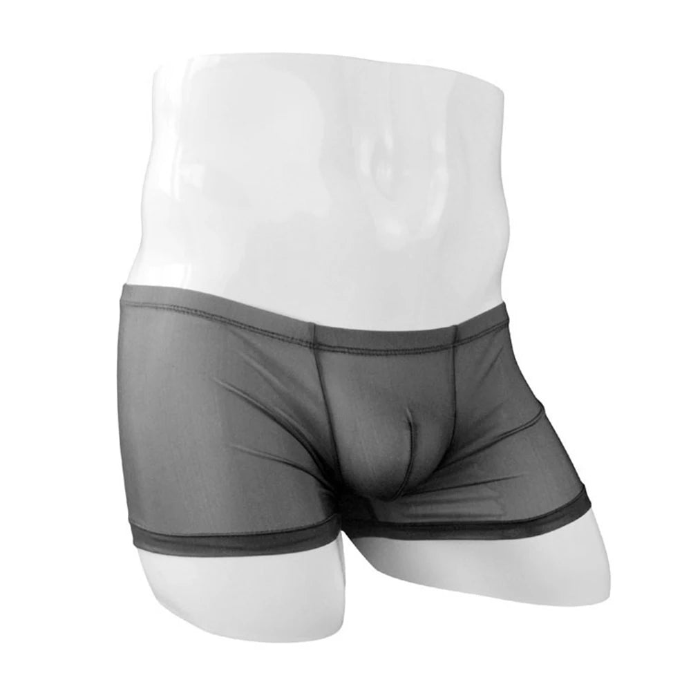 Transparent Bulge Pouch Boxer Briefs