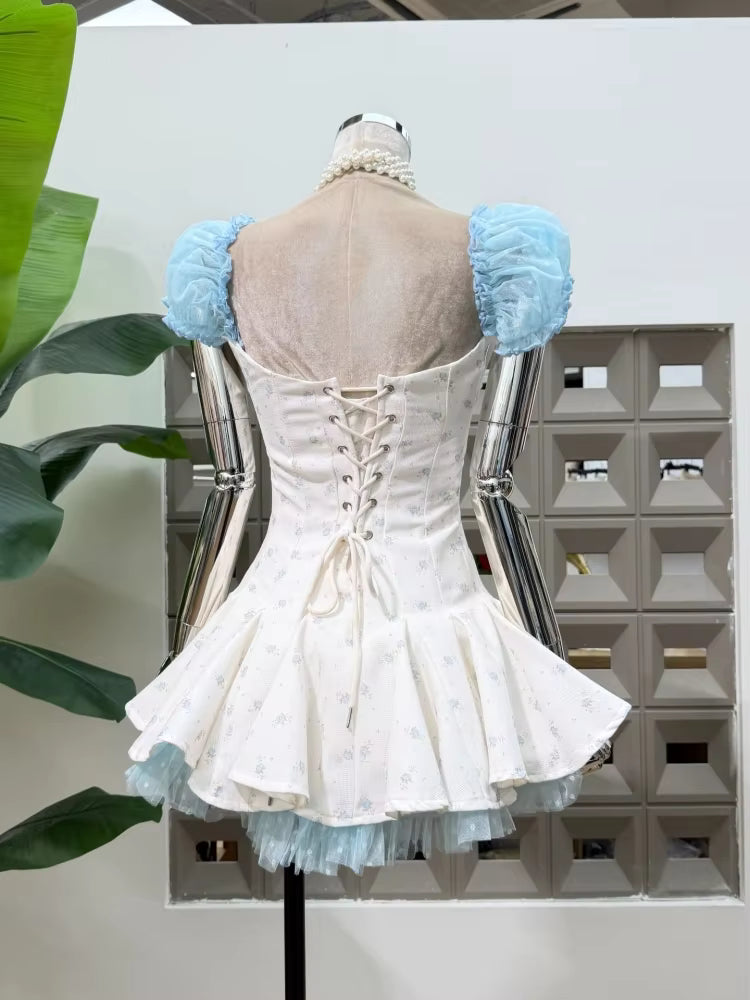 Luxurious Puff Short Sleeves Mini Dress