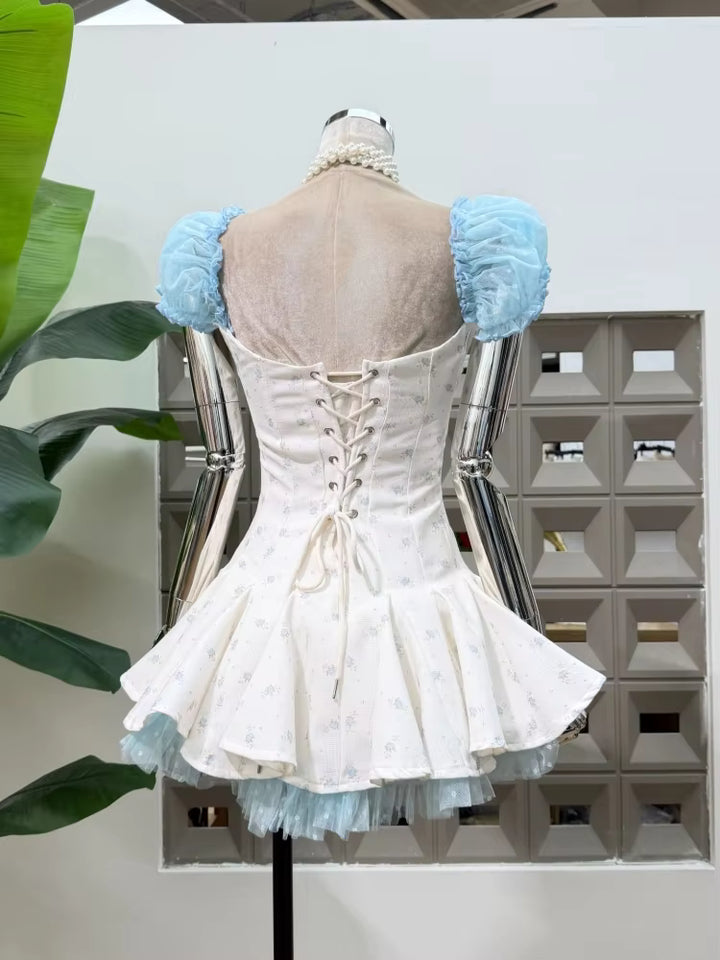 Luxurious Puff Short Sleeves Mini Dress