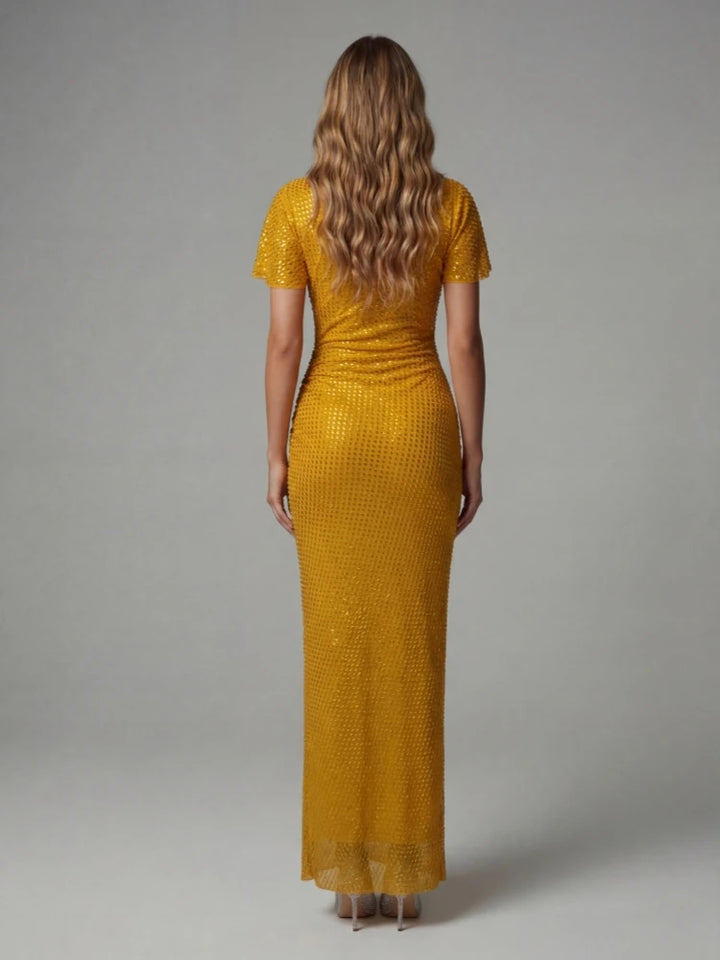 Stylish Asymmetrical Pleated Collar Gown
