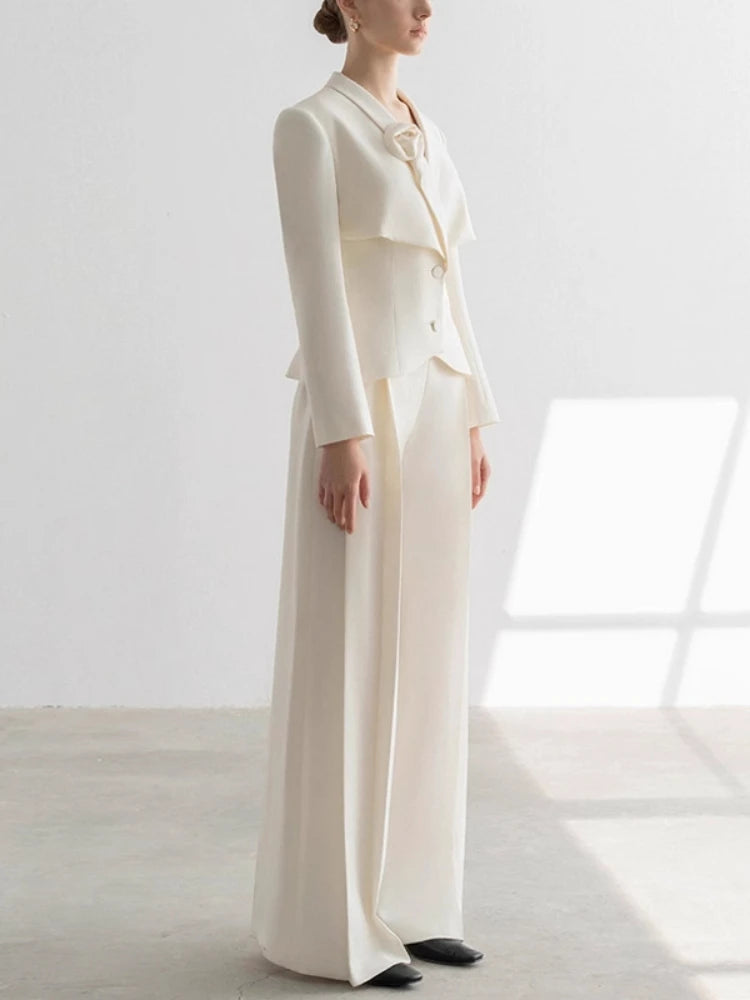 Magnificent Single Button Blazer Suit