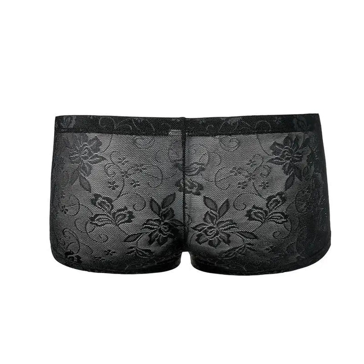 See Through Low-Waist Boxer Briefs