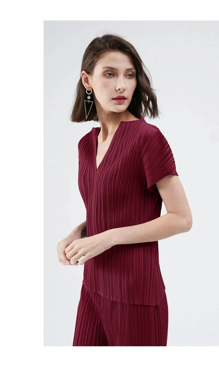 Small V-Neck Pleated Tops