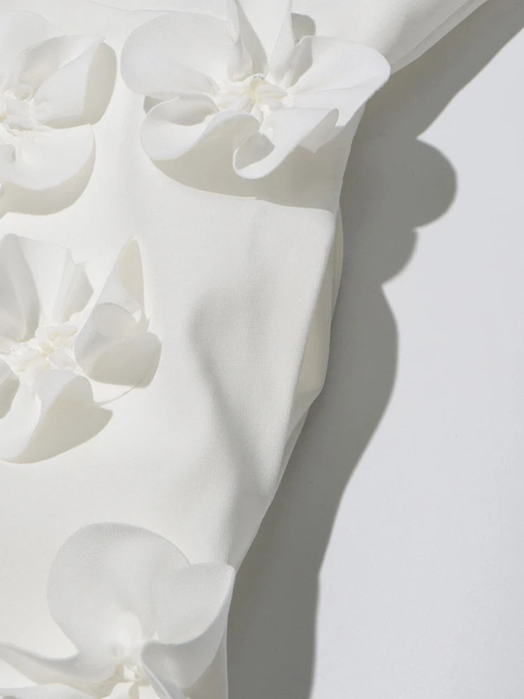 Spliced Appliques Elegant Dress