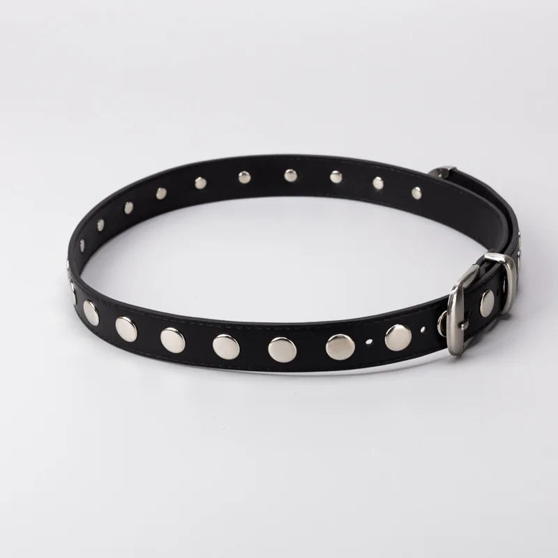 Women's black leather waist belt with silver buckle hardware and metal stud accents