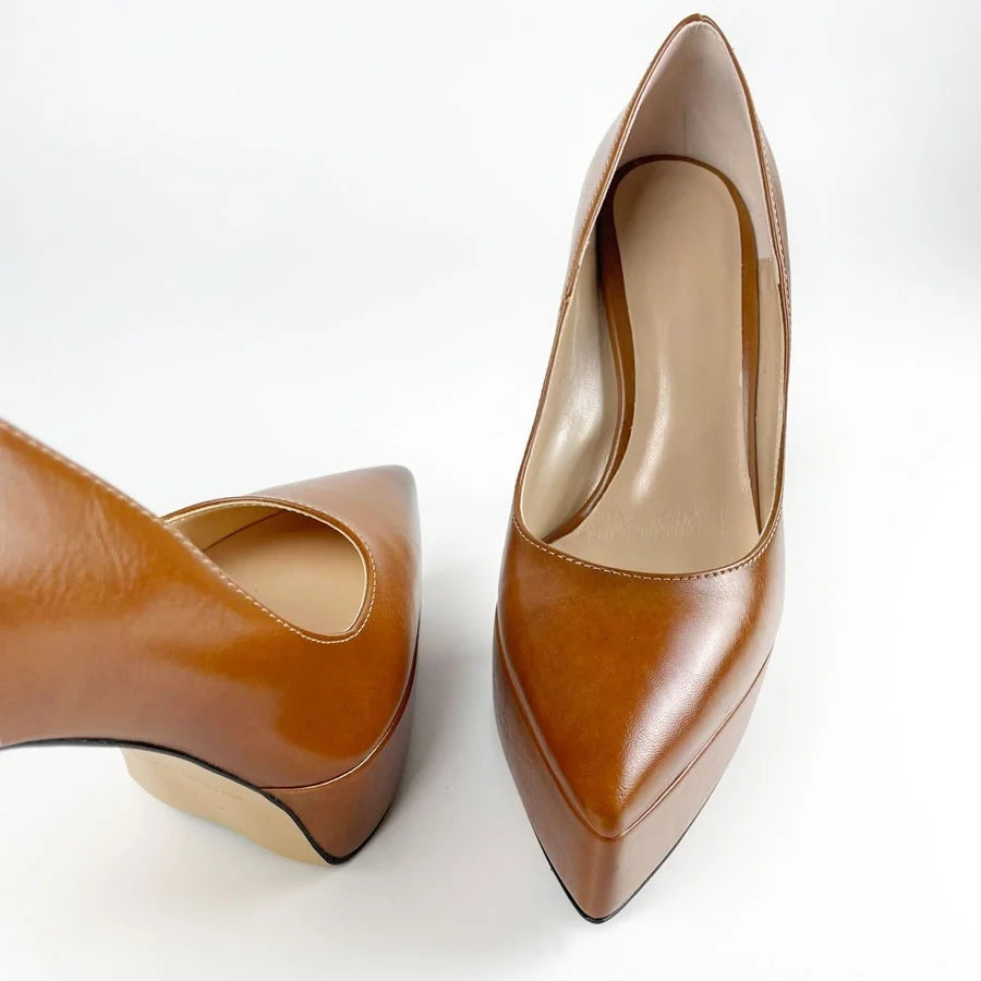 Brown high-heel pumps, pointed toe, slim stiletto heel, shown from side and front