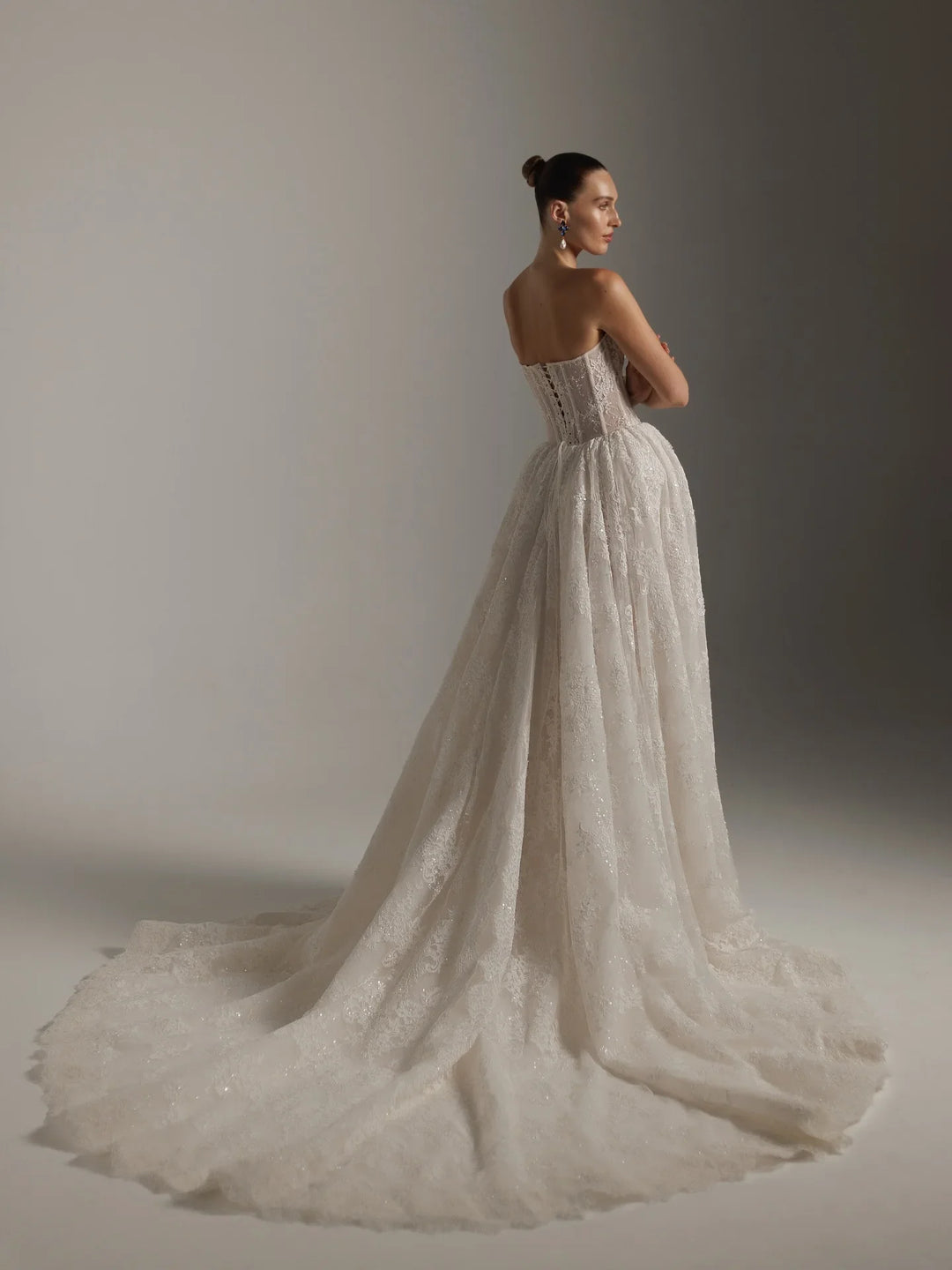 Resplendent Lace Princess Wedding Dress
