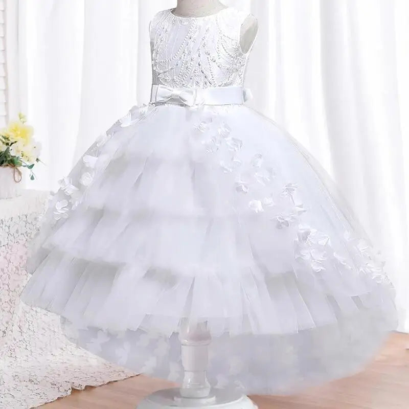 Elegant Lace Little Princess Dress