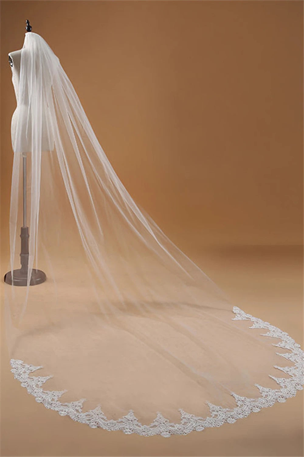 Beautiful Lace Edge Wedding Veil