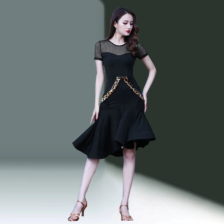 Classic Mesh Latin Dance Dress