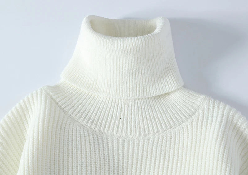 Thick Warm Turtleneck Sweater