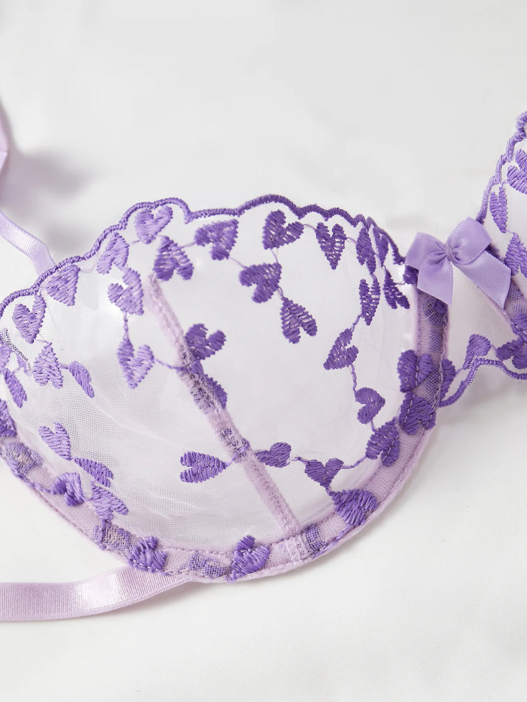 Exotic Embroidery Straps Bra Set