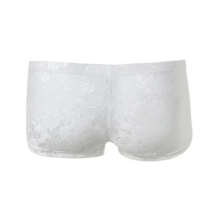 See Through Low-Waist Boxer Briefs