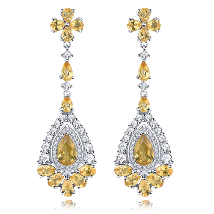 Exquisite Sterling Silver Drop Earrings