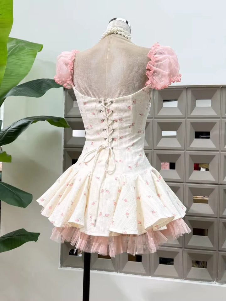Luxurious Puff Short Sleeves Mini Dress