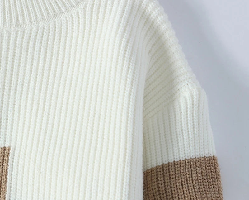 Thick Warm Turtleneck Sweater