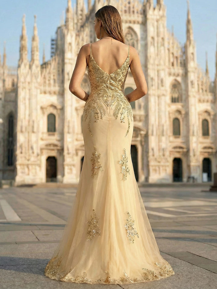 Lovely Sheer Overlay &amp; Train – Luxe Prom Dress
