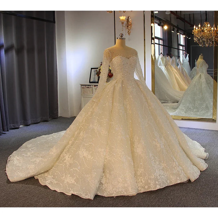 Lace bride dress with long sleeves, sparkly applique bodice, and full A-line skirt