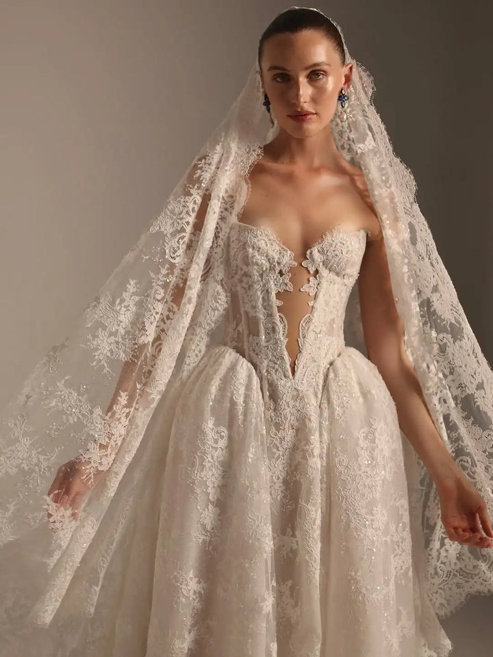 Resplendent Lace Princess Wedding Dress