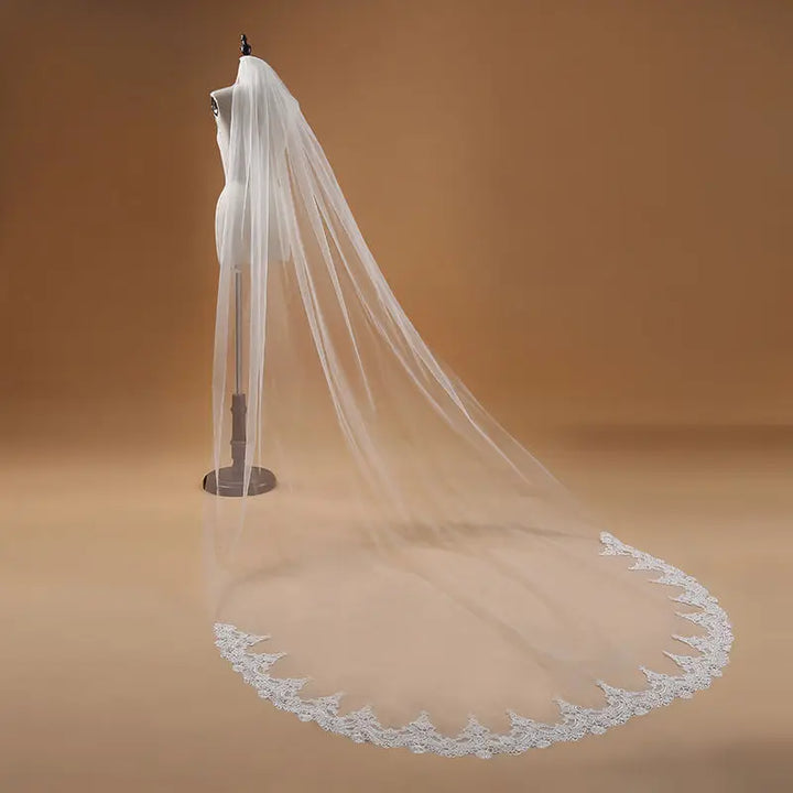 Beautiful Lace Edge Wedding Veil