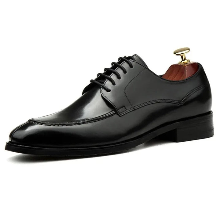 Lace-Up Pointed Toe Men's Oxford Shoes