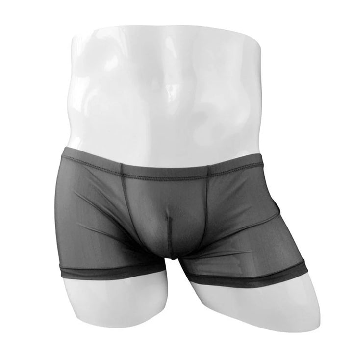 Transparent Bulge Pouch Boxer Briefs