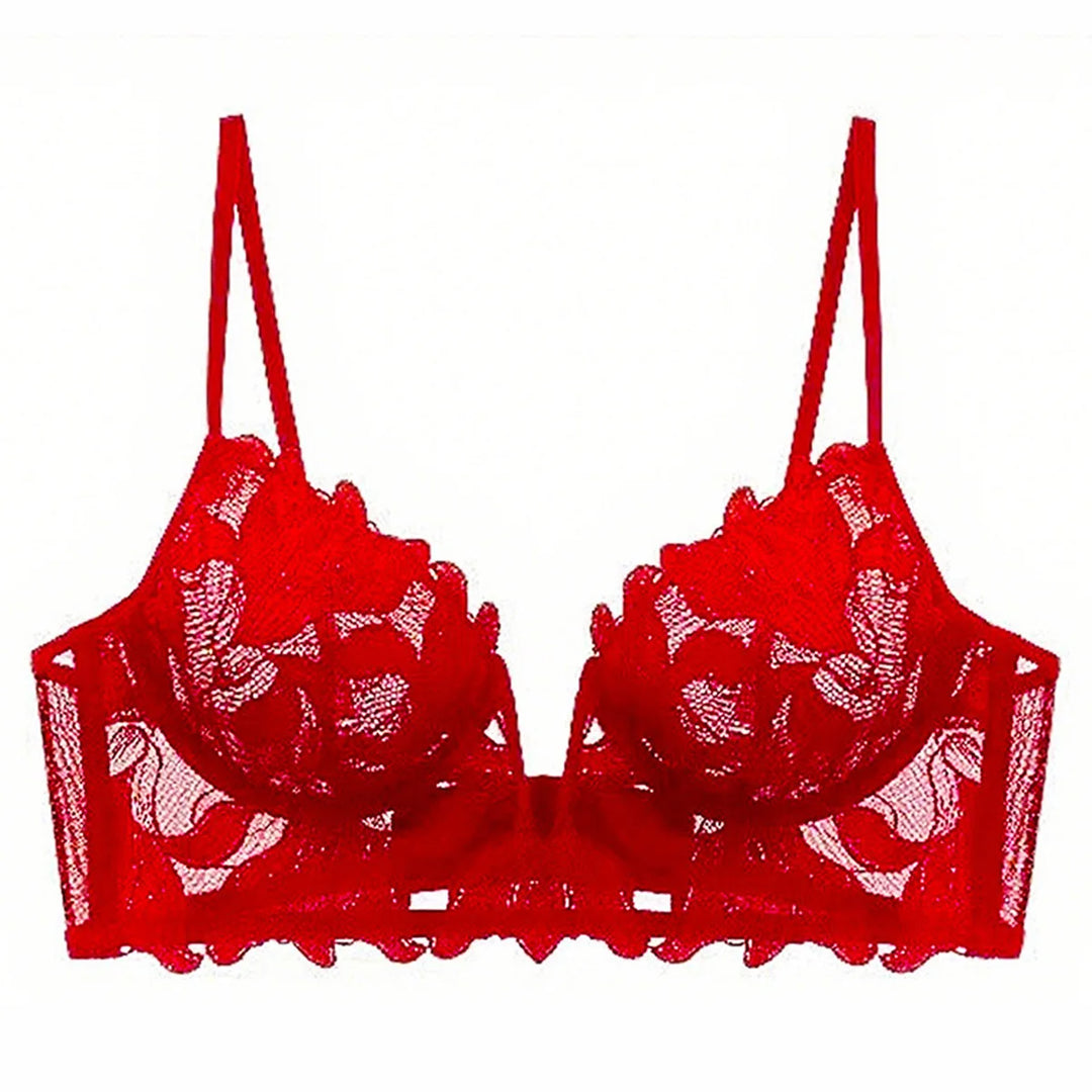 Classic Embroidered Ultra-Thin Lingerie