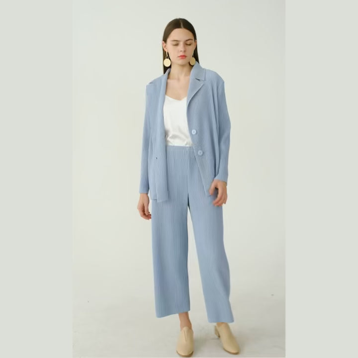 Elegant Pleated Women's Pants Suit