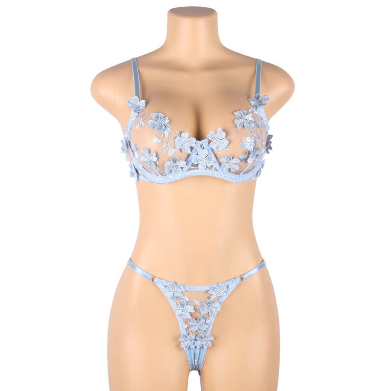 Mesh Embroidered Temptation Perspective Bra Set | All For Me Today